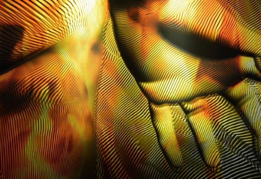 Gracias al trabajo del artista visual Franc Aleu, el visitante es absorbido por un contundente juego de paneles de metacrilato (reproducciones luminosas) que encarnan distintas partes del cuerpo en los que descubrir la forma de una mano, una oreja, una cara, un torso…